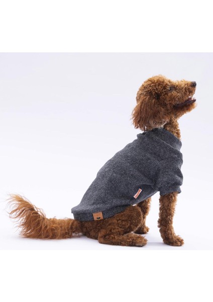 Siyah Merino Kedi Köpek Sweat- Kedi Köpek Kıyafeti modelleri