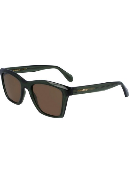 SF2001S-320 Salvatore Ferragamo Erkek Güneş Gözlüğü