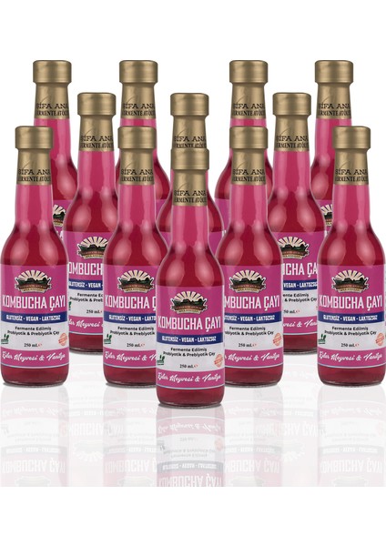 12 Adet Ejder Meyveli & Vanilyalı Kombucha (250ml.) Cam Şişede