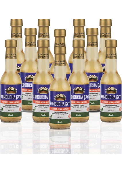 12 Adet Sade Kombucha (250ML.) Cam Şişede