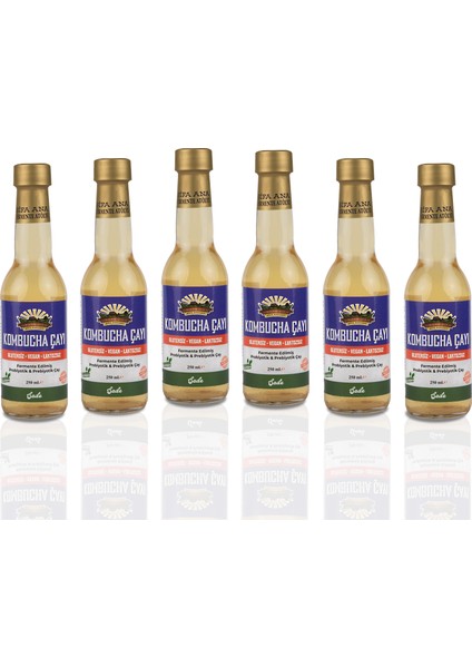 6 Adet Sade Kombucha (250ML.) Cam Şişede