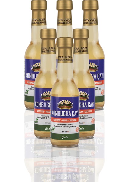 6 Adet Sade Kombucha (250ML.) Cam Şişede