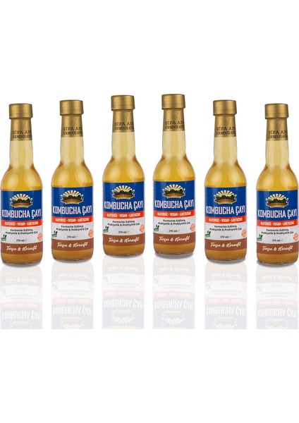 6 Adet Tarçın & Karanfil Kombucha (250ml.) Cam Şişede
