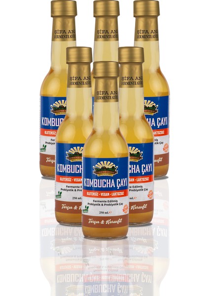 6 Adet Tarçın & Karanfil Kombucha (250ml.) Cam Şişede