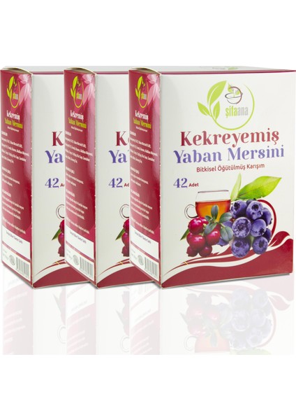Kekreyemişli Yaban Mersinli Bitkisel Karışım 3 x 42'li