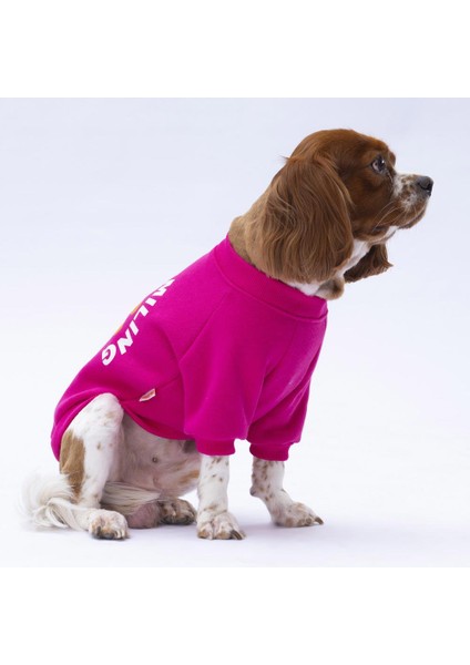 Pembe Lahti Kedi Köpek Sweat- Kedi Köpek Kıyafeti