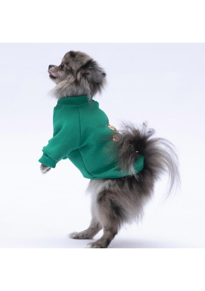 Yeşil Chongqing Kedi Köpek Sweat- Kedi Köpek Kıyafeti modelleri