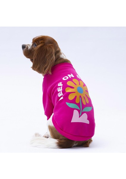 Pembe Lahti Kedi Köpek Sweat- Kedi Köpek Kıyafeti