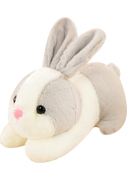 Renkli Tavşan Çocuk Doğum Günü Hediyesi Kız Peluş Oyuncak Tavşan Peluş Küçük Tavşan Bebek 35 cm (Yurt Dışından)