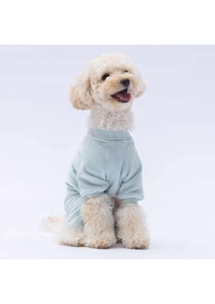 Mint Angers Köpek Tulumu fiyatları