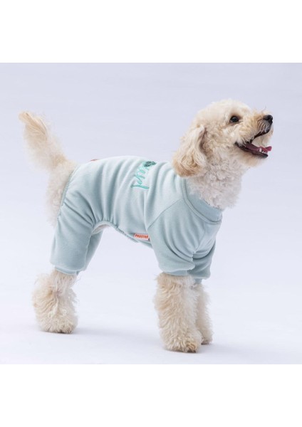 Mint Angers Köpek Tulumu modelleri