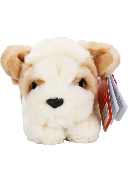Yumuşacık Dokusu ve Sevimli Yüzüyle Bulldog Peluş, Kalpleri Fethediyor