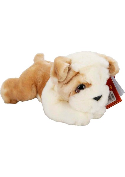 Yumuşacık Dokusu ve Sevimli Yüzüyle Bulldog Peluş, Kalpleri Fethediyor