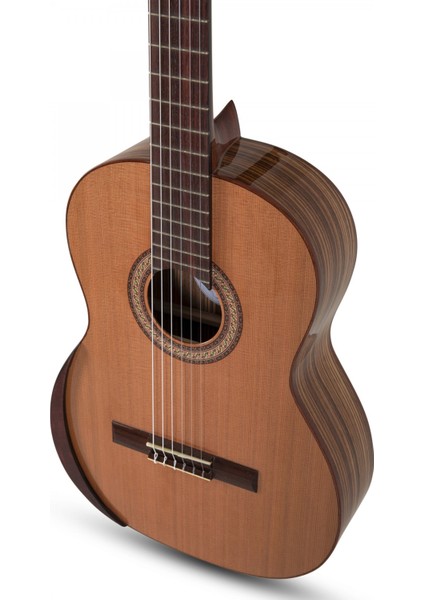 Academia 40-C Klasik Gitar