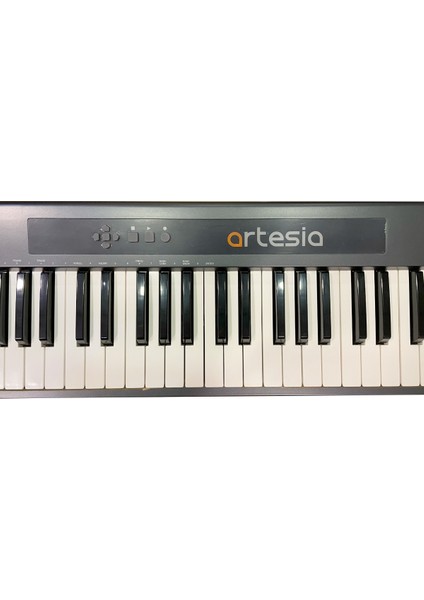 AK88 88 Tuşlu Midi Klavye