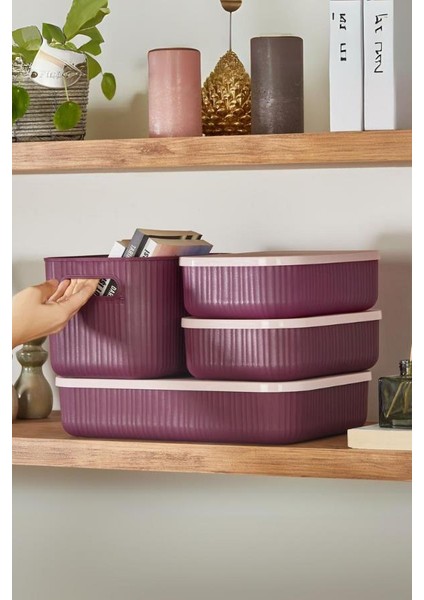 Çok Amaçlı Dolap Içi Düzenleyici Kapaklı Saklama Kutusu Takı, Makyaj, Banyo ve Mutfak Düzenleyici 4'lü Set Mor (3,2lt 6,2lt 6,8lt) fiyatları