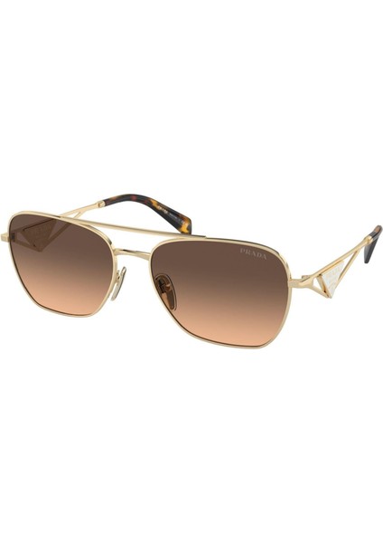 Güneş Gözlüğü Prada Pr A50S ZVN50C59