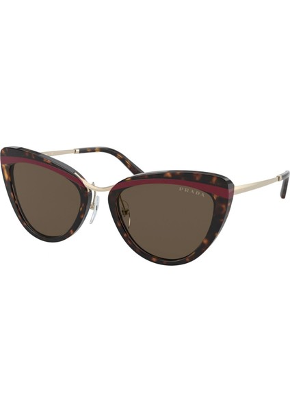 Güneş Gözlüğü Prada PR25XS5532006B fiyatları