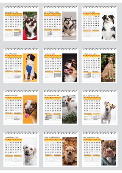2025 Köpek Masa Takvimi