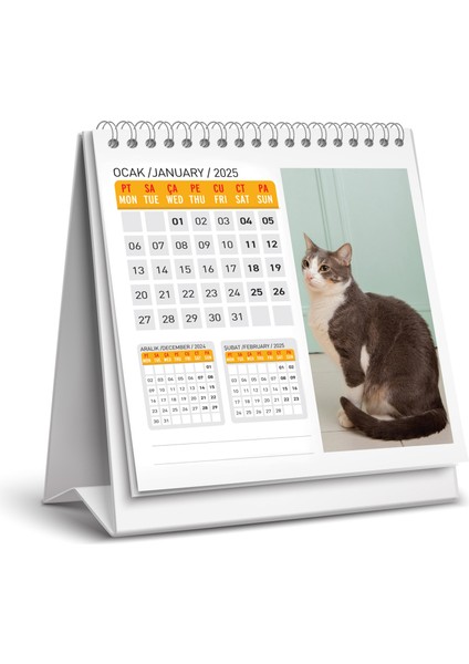 2025 Kedi Masa Takvimi