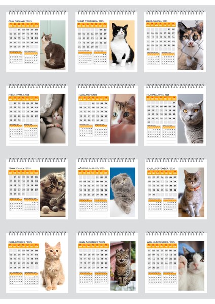 2025 Kedi Masa Takvimi