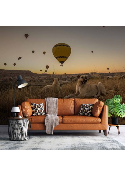 Günbatımı ve Sıcak Hava Balon Manzaralı
