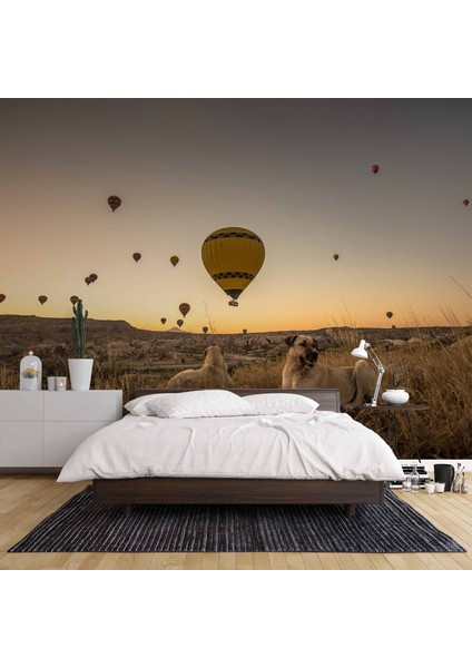 Günbatımı ve Sıcak Hava Balon Manzaralı