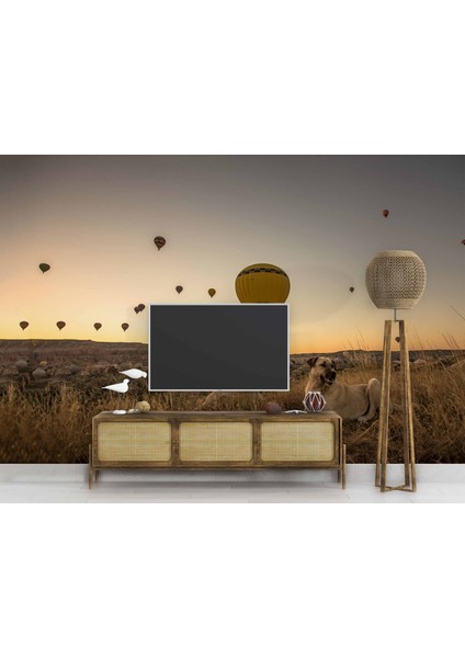 Günbatımı ve Sıcak Hava Balon Manzaralı
