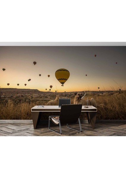 Günbatımı ve Sıcak Hava Balon Manzaralı