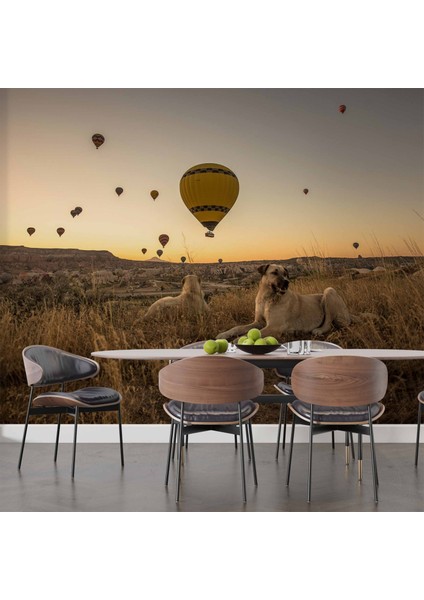 Günbatımı ve Sıcak Hava Balon Manzaralı