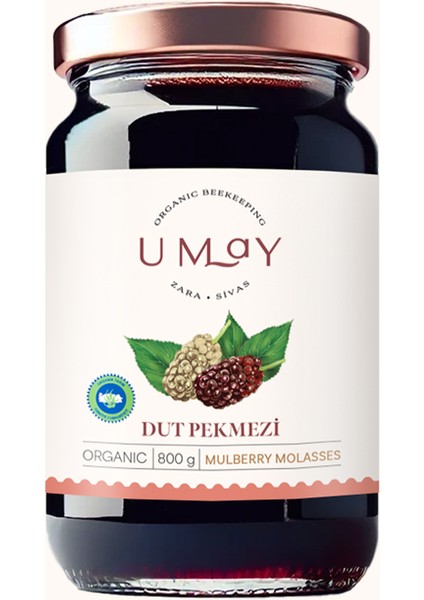 Organik Dut Pekmezi 800 gr