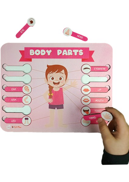Vücut Parçaları Puzzle Yapboz Eğitici Oyuncak fiyatları