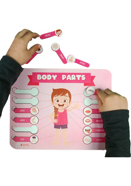 Vücut Parçaları Puzzle Yapboz Eğitici Oyuncak modelleri