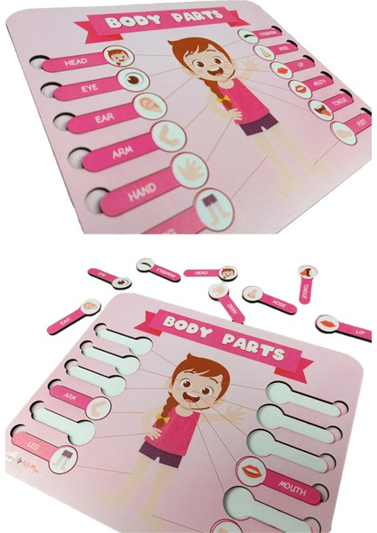 Vücut Parçaları Puzzle Yapboz Eğitici Oyuncak fırsatları