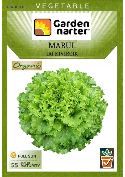 Garden Narter İri Kıvırcık Marul Tohumu Doğal Organik Pakette 5 gr 5000 Tohum