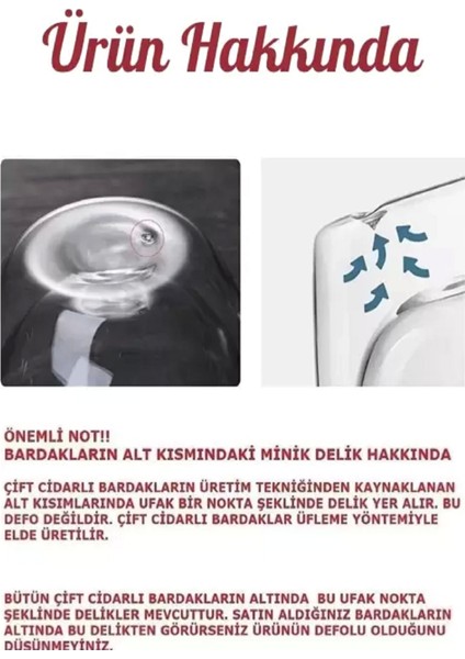 Berdina Home 2'li Çift Cidarlı Bardak 300 ml Ev Ofis Çay Fincanı Kahve Sunum Bardağı