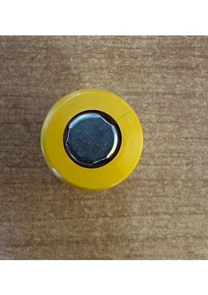 16340-800MA 3.7 Volt Düz Kafa Pil