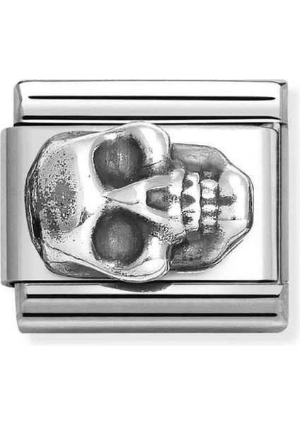 Composable Classic Oxıdızed Symbols In St,steel And 925 Sterling Silver Skull Renkli