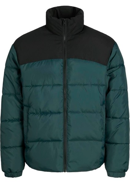 Jjmoon Stand Collar Puffer Forest