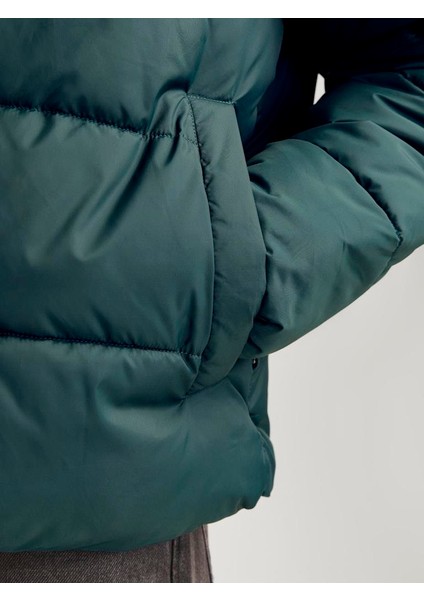 Jjmoon Stand Collar Puffer Forest fırsatları