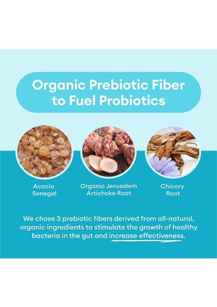 Probiotics 60 Billion Cfu - 10 Strains + Organic Prebiotics - Immune, Digestive & Gut Health 30 Capsul fırsatları