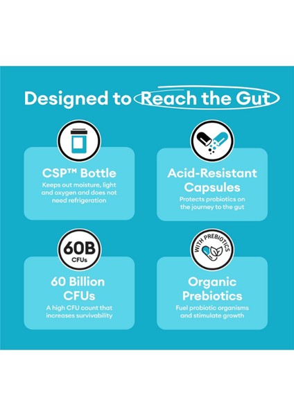 Probiotics 60 Billion Cfu - 10 Strains + Organic Prebiotics - Immune, Digestive & Gut Health 30 Capsul indirimleri