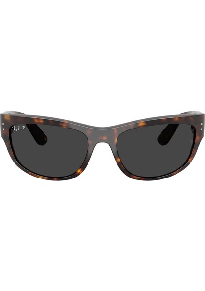 RB2289 902/48 63 Polarize Unisex Güneş Gözlüğü