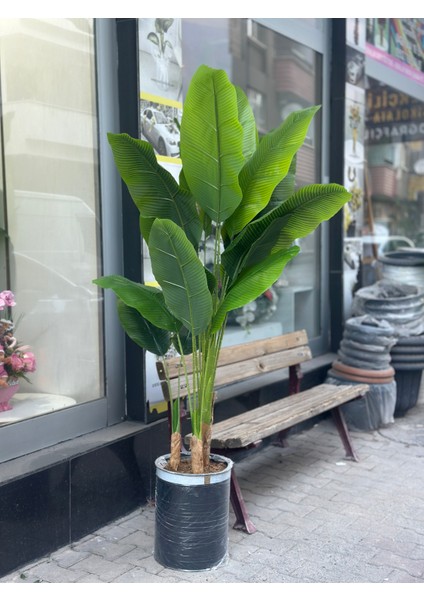 Yapay Muz Ağacı 170CM