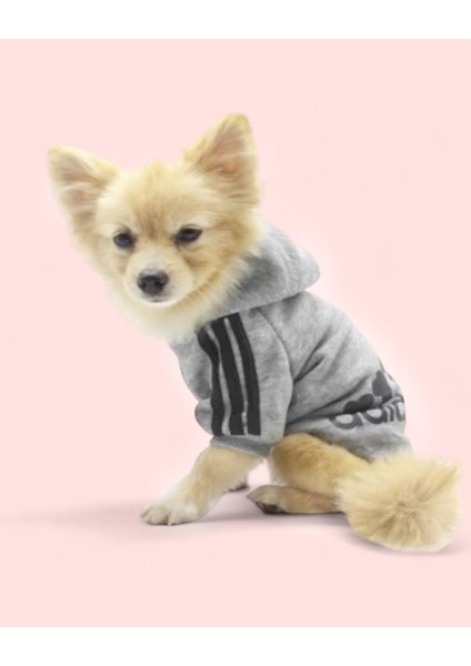 Gri Adidog Kapşonlu Sweatshirt Köpek Kazağı