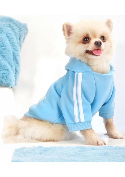 Baby Blue Adidog Kapşonlu Sweatshirt Köpek Kazağı