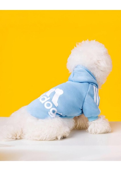 Baby Blue Adidog Kapşonlu Sweatshirt Köpek Kazağı