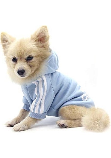 Baby Blue Adidog Kapşonlu Sweatshirt Köpek Kazağı