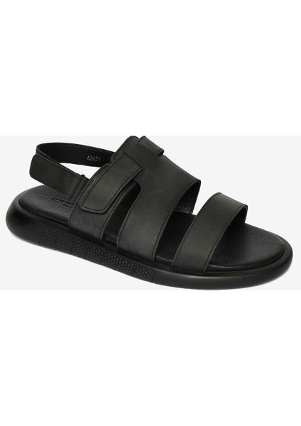 4Y1CS62637-62637 Mr Casual Sandalet (S)