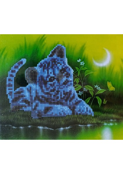 Boncuklu Taşlı Mozaik Elmas Goblen Pano Tablo Resim Puzzle Dıamond Paıntıng Ebat 21X25 Çocuklar Için